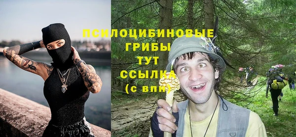 эйфоретик Липки
