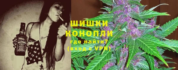 амф Майский