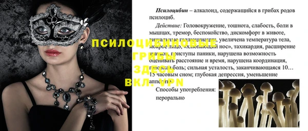 эйфоретик Липки